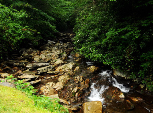 Tennesee Smoky Mountains Creek