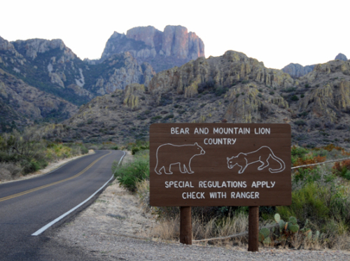 Texas Big Bend Animal Warning