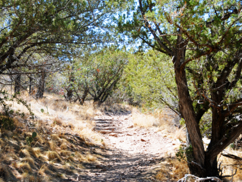 Texas Big Bend Emory Trail