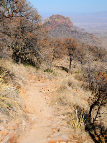 Texas Big Bend Emory Trail