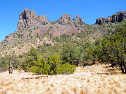 Texas Big Bend Scenery