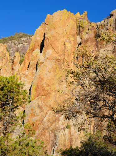 Texas Big Bend Scenery