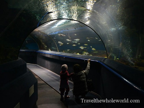 Kazakhstan Astana Duman Entertainment Aquarium Tunnel