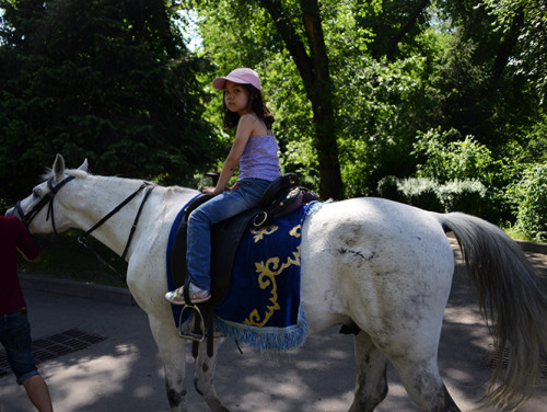 Kazakhstan Almaty Panfilov Park Horse Ride