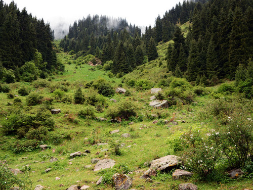 Kyrgyzstan Tian Shan Slope
