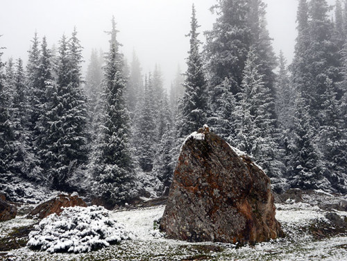 Kyrgyzstan Tian Shan Snow