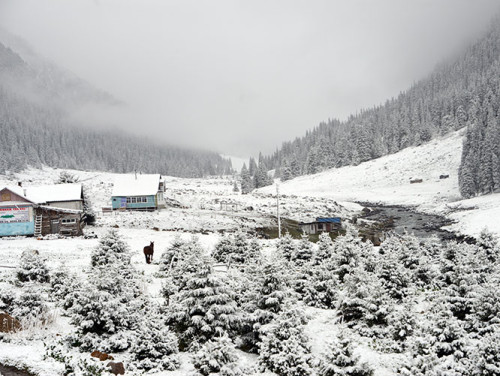 Kyrgyzstan Tian Shan Valley Snow