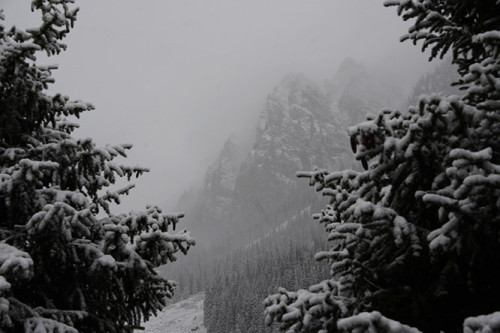 Kyrgyzstan Tian Shan Winter