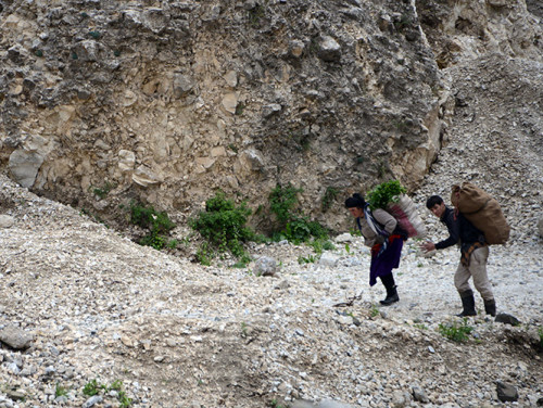 Tajikistan Highway Plants Picking