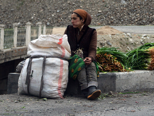 Tajikistan Highway Plants Sale