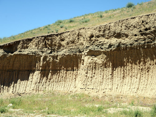 Tajikistan Penjakent Bird House