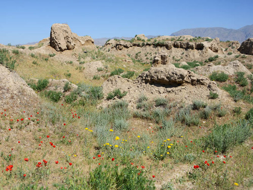 Tajikistan Panjakent Old City