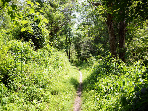 Ohio-Cuyahoga National Park Hiking Trail