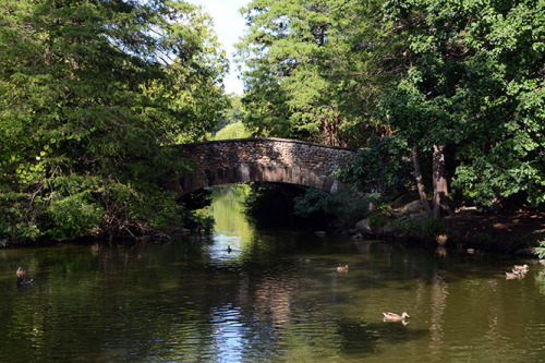 Connecticut Elizabeth Park Pond