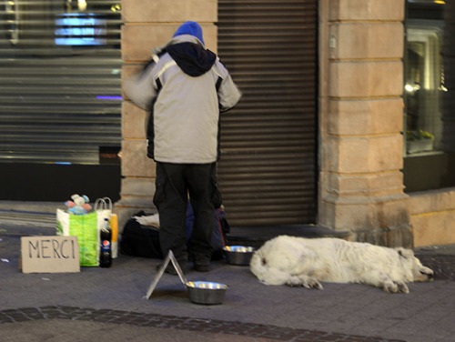 Luxembourg City Homeless