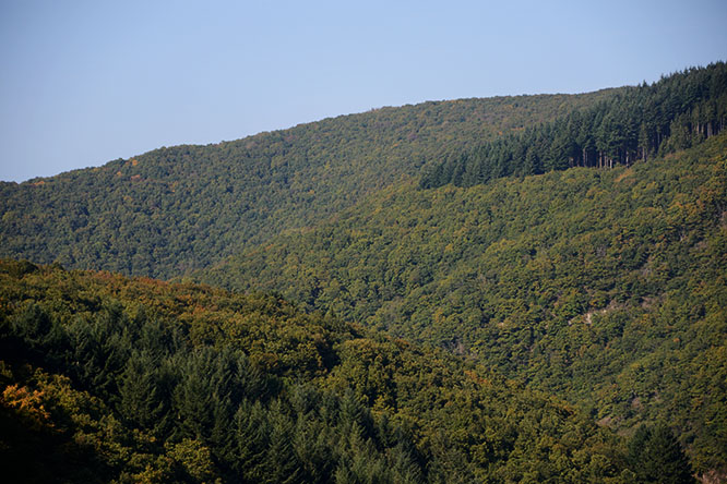 View from Vianden Castle in Luxembourg