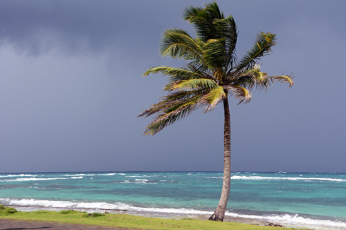 Nicaragua Caribbean