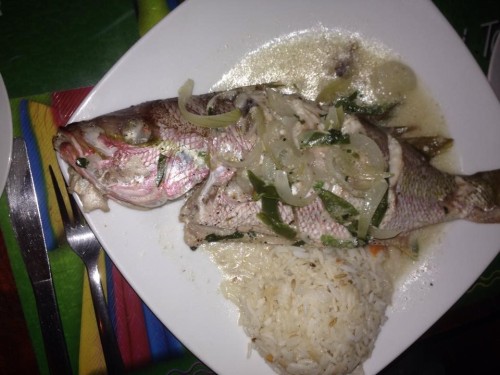 Nicaragua Corn Island Fish