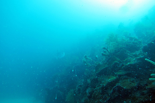 Nicaragua-Corn-Islands-Dive-View