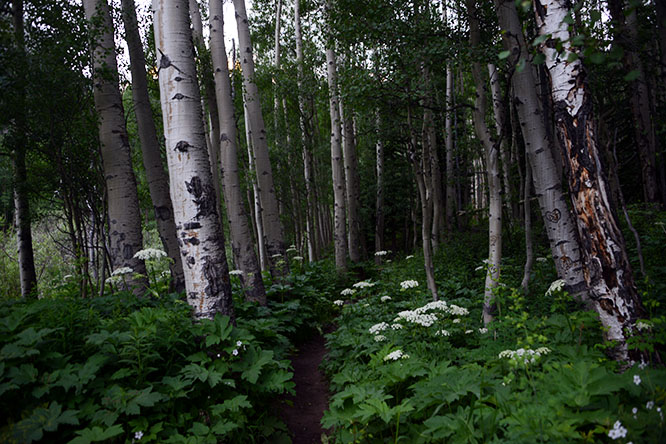 Snowmass Wilderness hiking trail