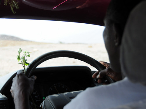 Somalia Driver Khat