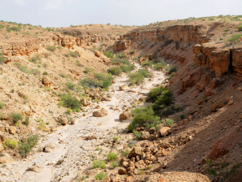 Somaliland Canyons