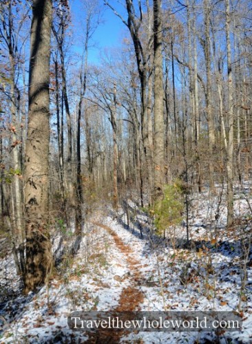 Alabama Birmingham Forest Trail Snow