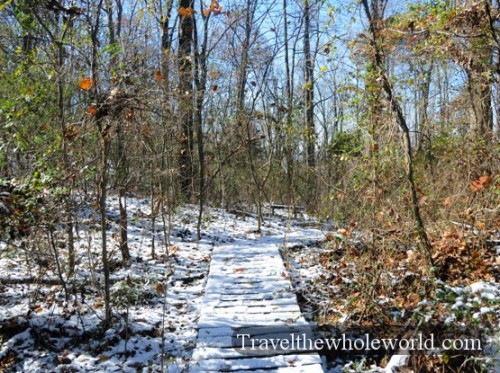 Alabama Forest Trail Snow