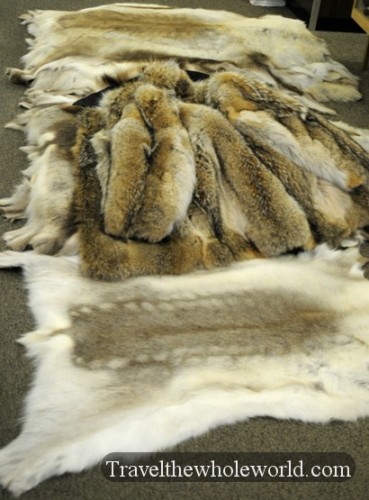 Alaskan Anchorage Furs