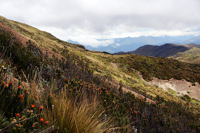Ecuador Rucu Pichincha View