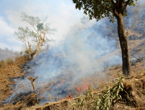 Ethiopia Simien Mountains Fire