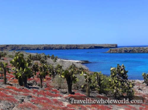 Galapagos Desert