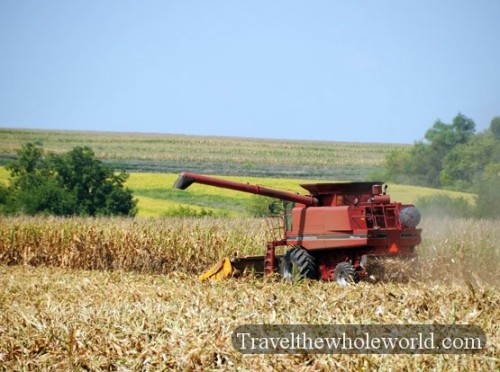 Iowa Corn Harvester