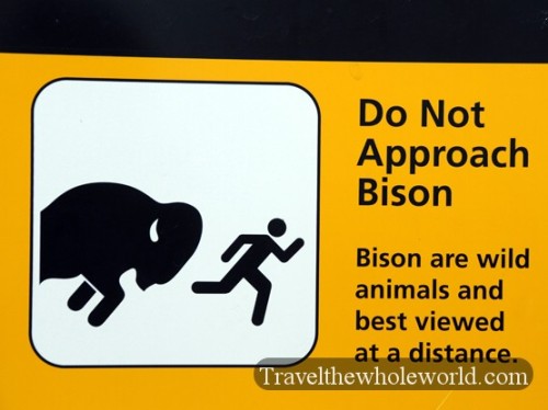 Tallgrass Prairie Bison Warning