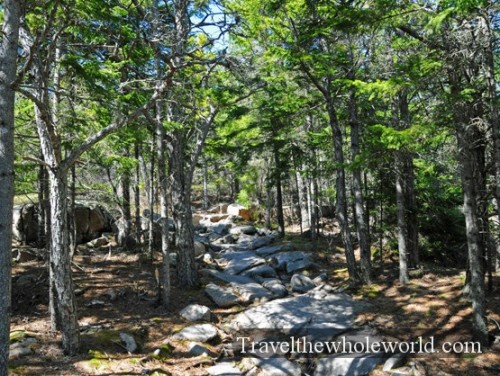 Maine Acadia Hiking Trail