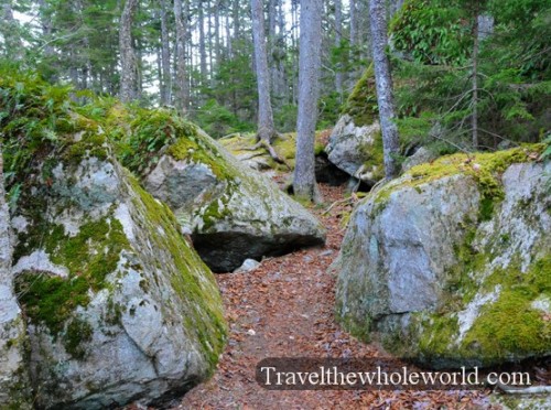 Maine Acadia Hiking Trail