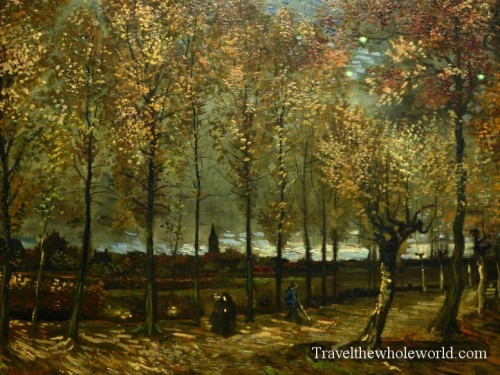 Netherlands-Amsterdam-Van-Gogh-Forest