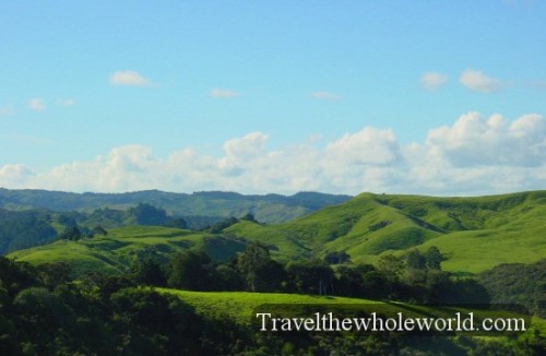 New-Zealand-Greenhills