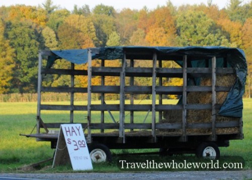 New Jersey Country Hay