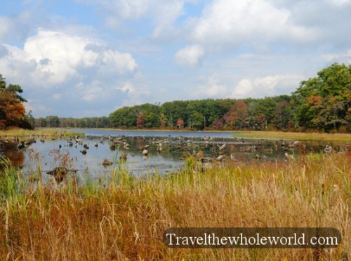 New Jersey High Point State Park Lake