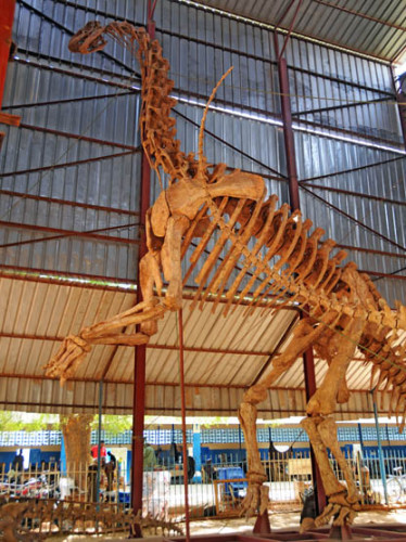 Niger Niamey Museum Dinosaur