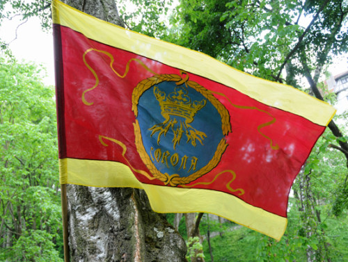 Romania Bran Castle Flag