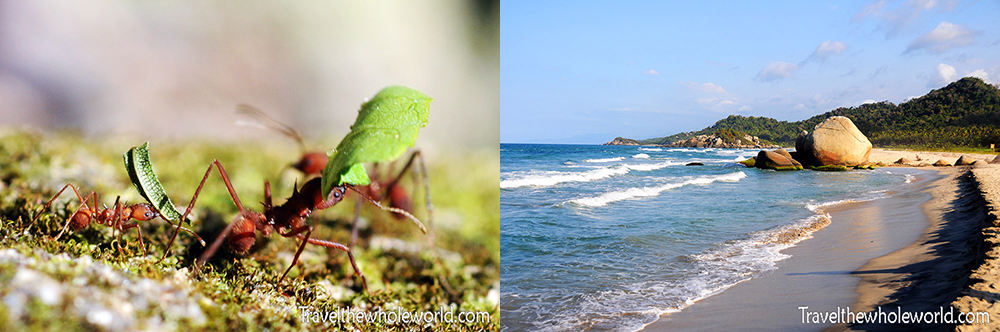 Tayrona National Park