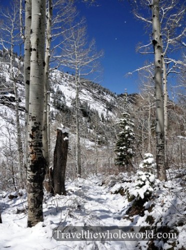 Utah Uinta Mountains Snow Trail