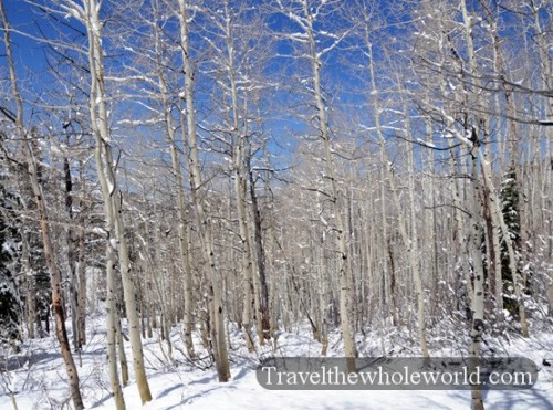 Utah Uinta Mountains Winter