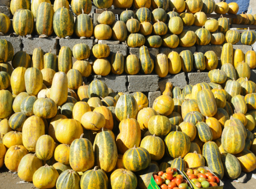 Yemen Fruits