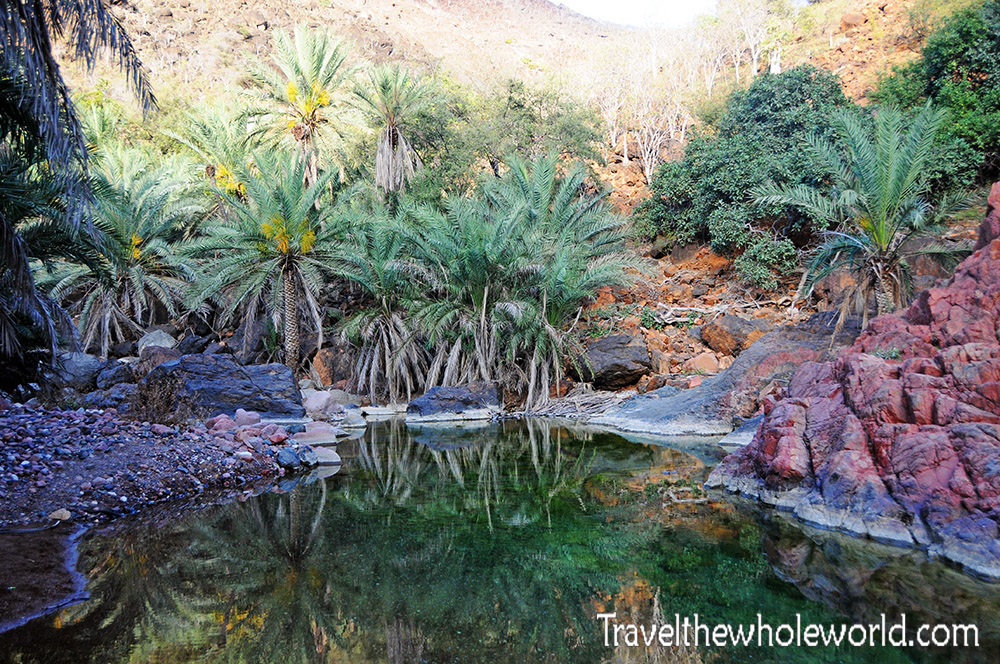 Freshwater pool in Socotra