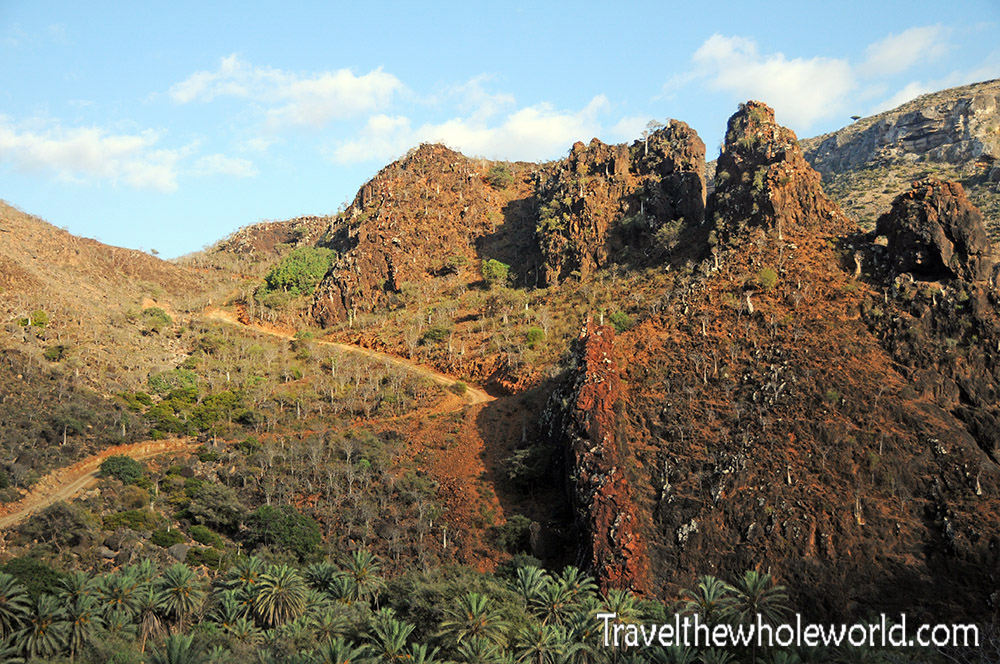 Freshwater oasis in Socotra