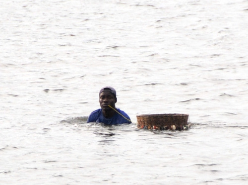 Benin Crabbing