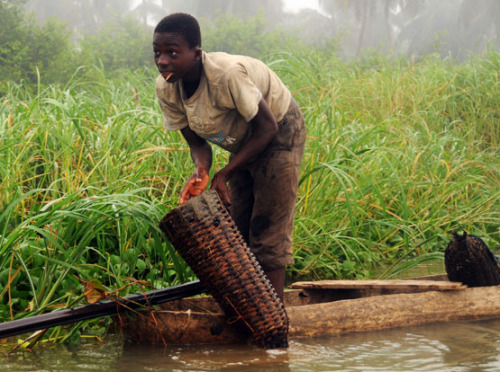 Benin Mangrove Fisherman